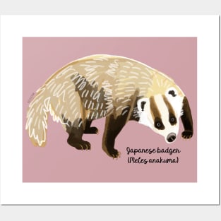 Anakuma the Japanese badger #1 Posters and Art